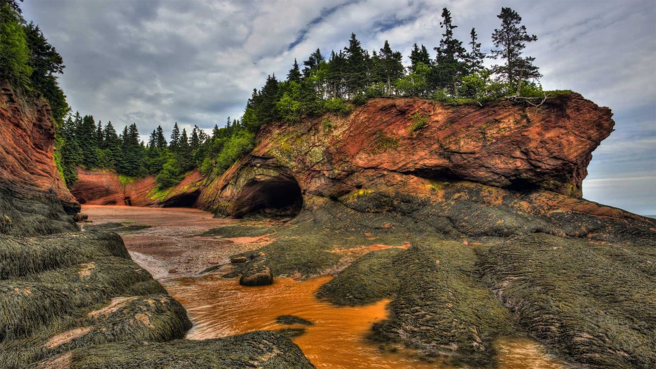 Caves and coastal features at low tide on the Bay of Fundy, near St. Martins, New Brunswick, Canada (© Jamie Roach/Shutterstock) desktop wallpaper