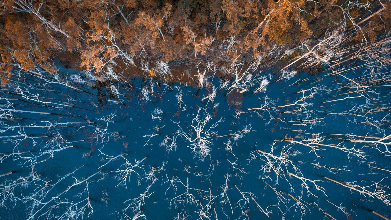 Advancetown Lake and forest, Gold Coast, Queensland, Australia (© AzmanL/E+/Getty Images) desktop wallpaper