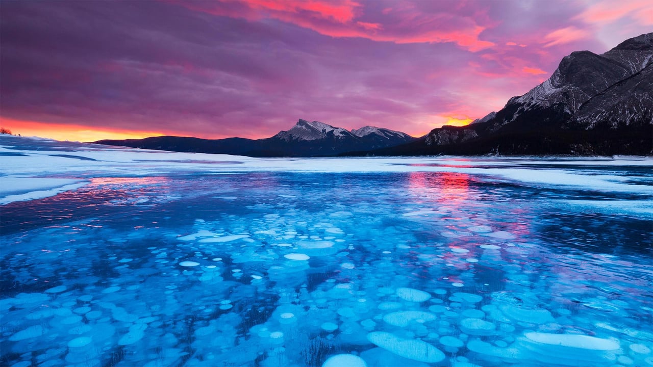 Bubbles in the ice of Abraham Lake in Alberta, Canada (© robertharding/Alamy) desktop wallpaper