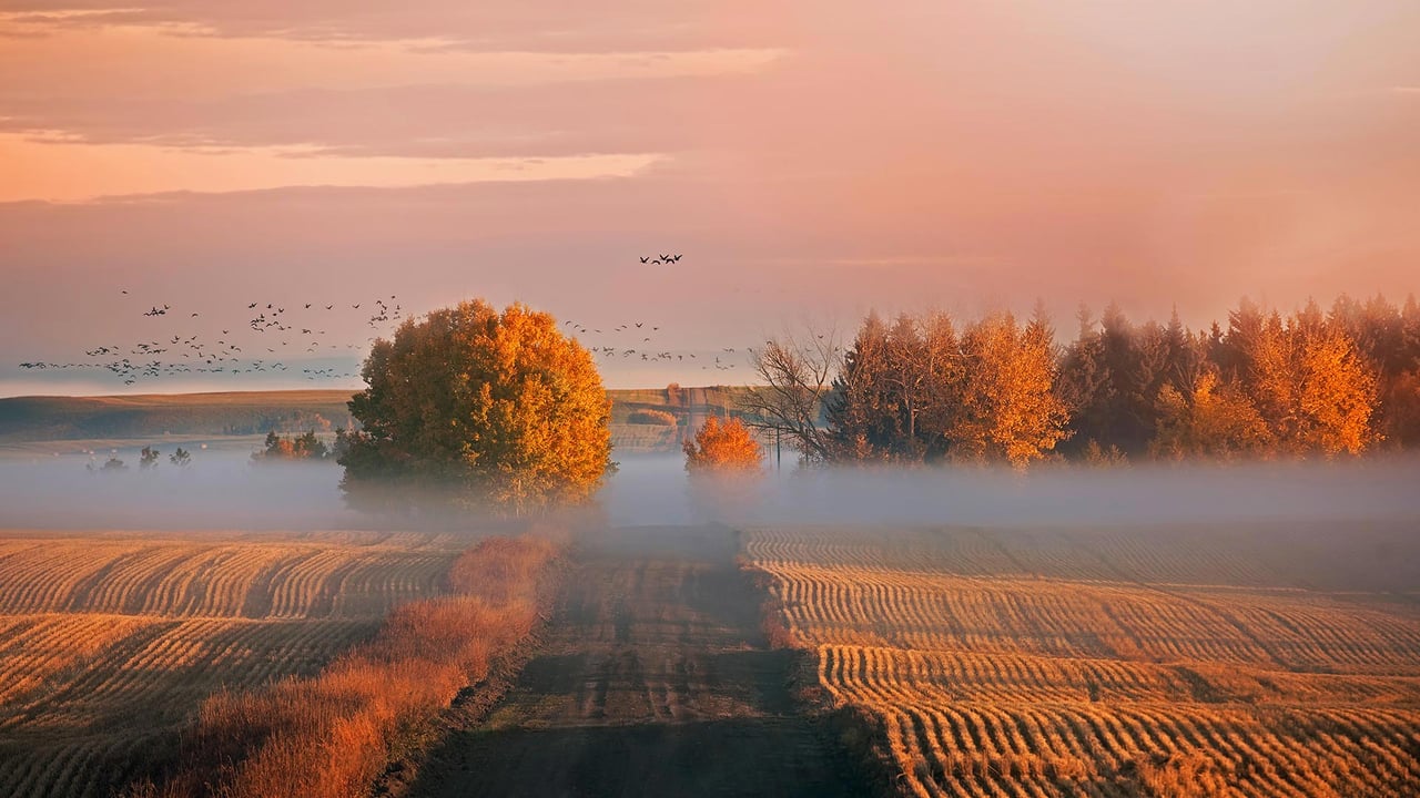 Sunrise in Alberta, Canada (© Ambre Haller/Moment/Getty Images) desktop wallpaper