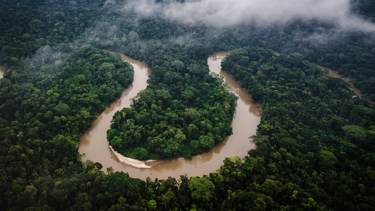 Amazon rainforest, Ecuador (© Mark Fox/Getty Images) desktop wallpaper