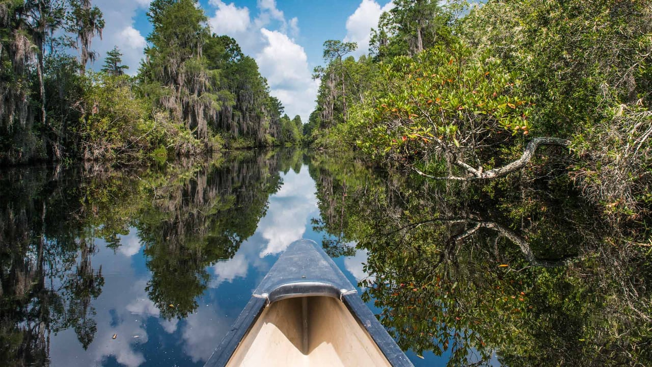 Canoeing in Okefenokee National Wildlife Refuge, Georgia (© Brad Beck/Tandem Stills + Motion) desktop wallpaper