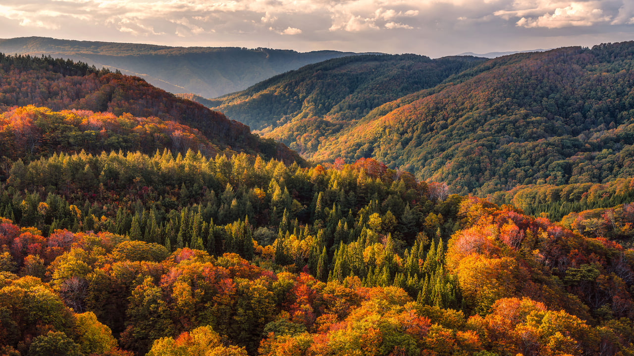 八甲田山の紅葉, 青森県青森市 (© Mekdet/Getty images) desktop wallpaper