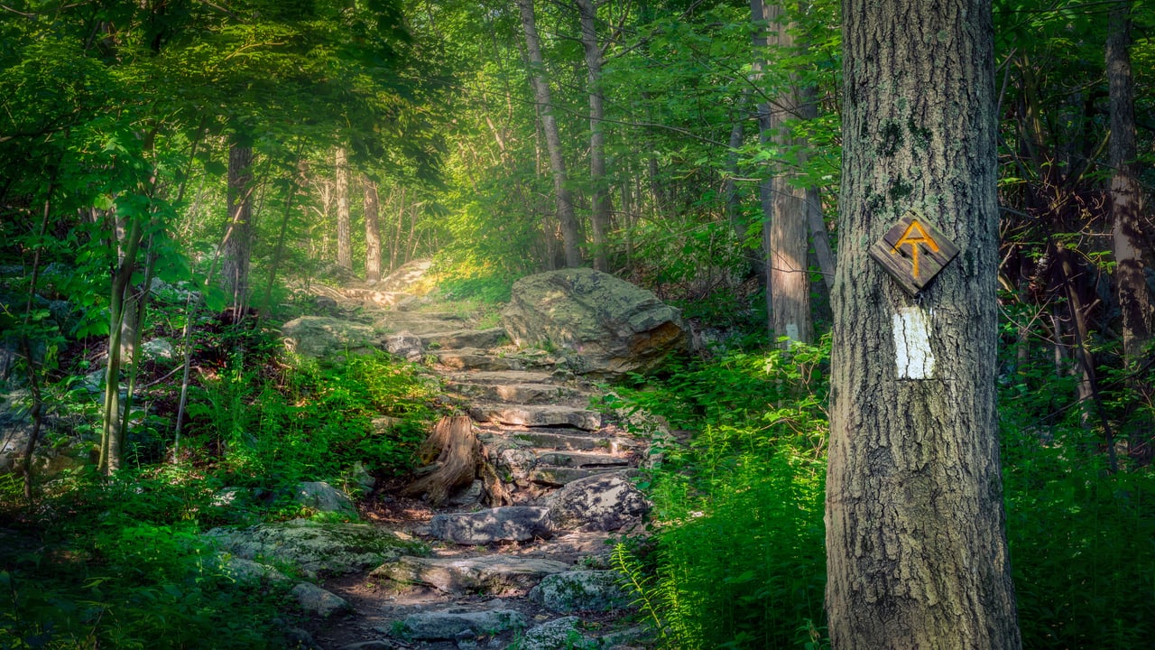 The Appalachian Trail in Stokes State Forest, New Jersey (© Frank DeBonis/Getty Images) desktop wallpaper
