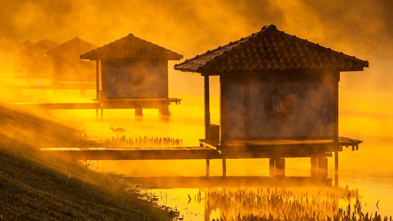 Araraquara, São Paulo (© Dante Laurini Jr. Imagens/Getty Images) desktop wallpaper