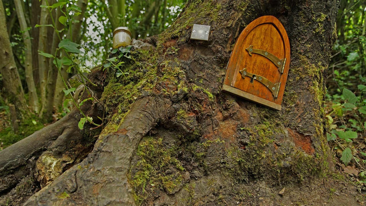Ashdown Forest, home of Winnie-the-Pooh, England (© Mark Phillips/Alamy) desktop wallpaper