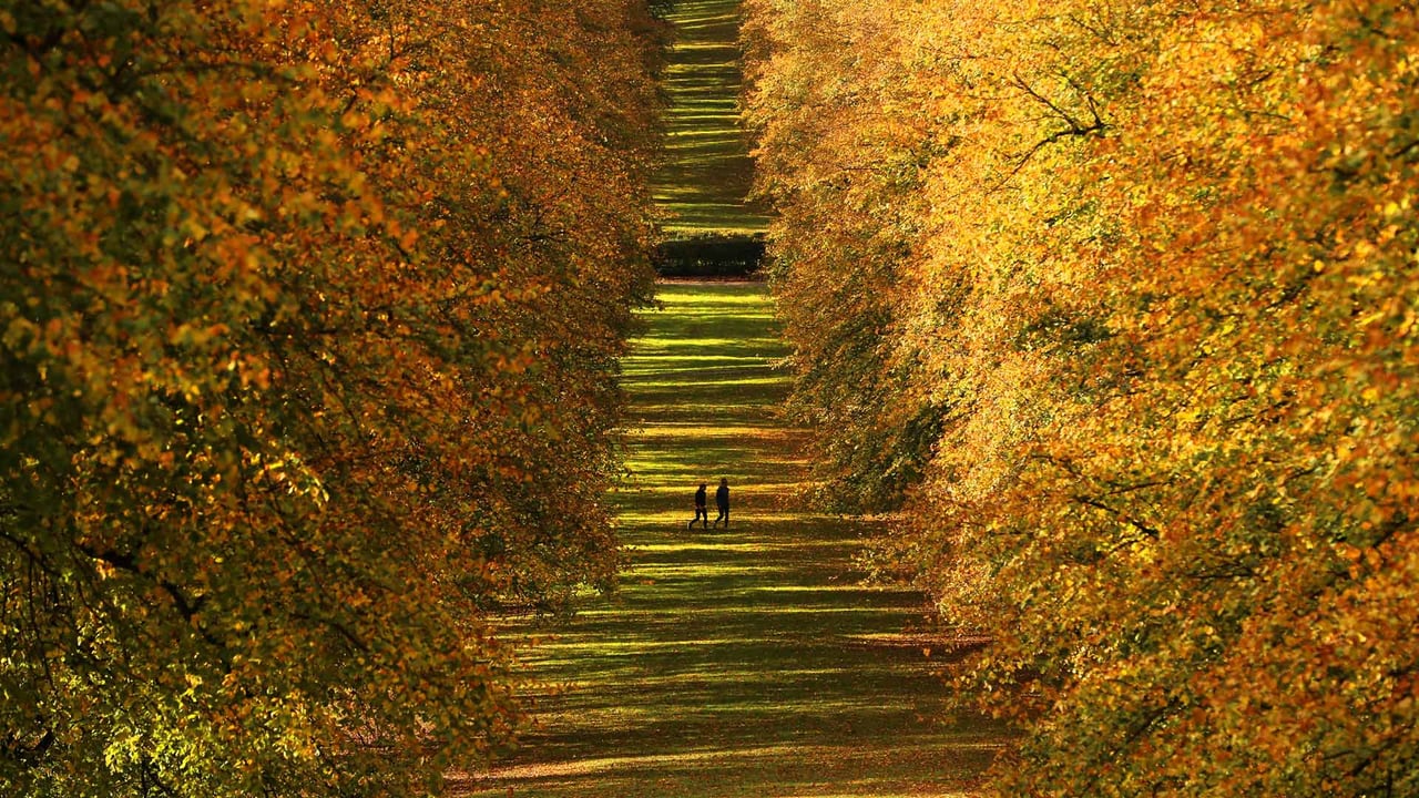 Stormont Estate, Northern Ireland (© Brian Lawless/PA Images/Getty Images) desktop wallpaper
