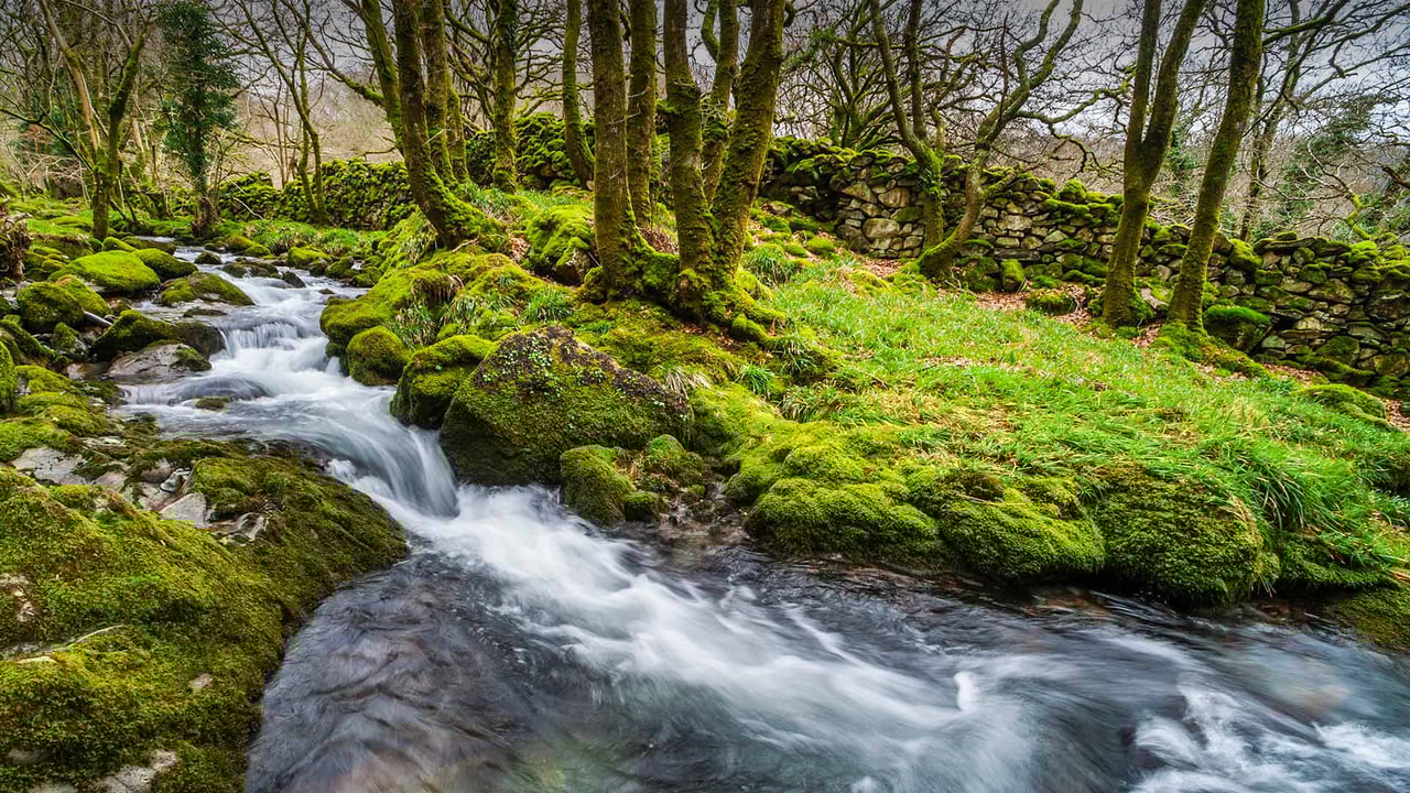 Croesor Valley, Snowdonia National Park, Wales, UK (© Matthew Williams-Ellis/Plainpicture) desktop wallpaper
