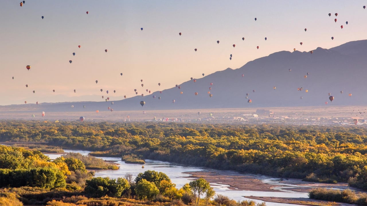 Hot air balloons over the Rio Grande, Albuquerque, New Mexico (© Jennifer MacCornack/Shutterstock) desktop wallpaper