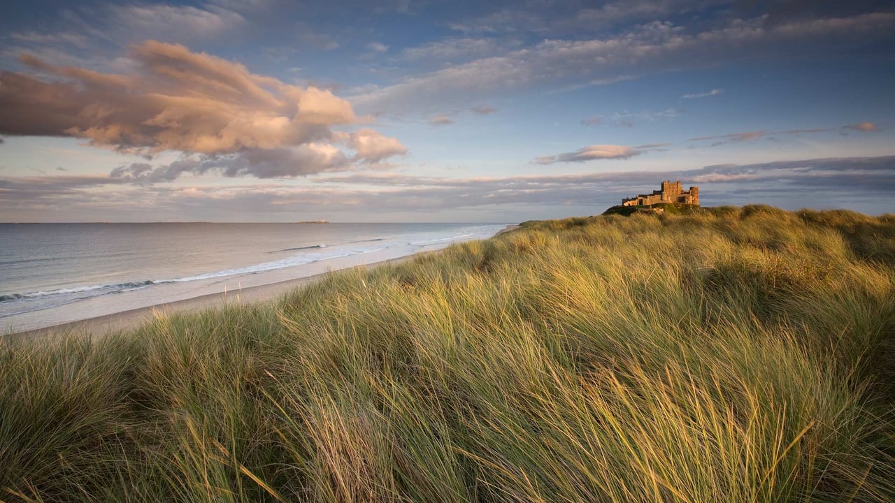 Bamburgh Castle, Northumberland, England (© Blackbeck/Getty Images) desktop wallpaper