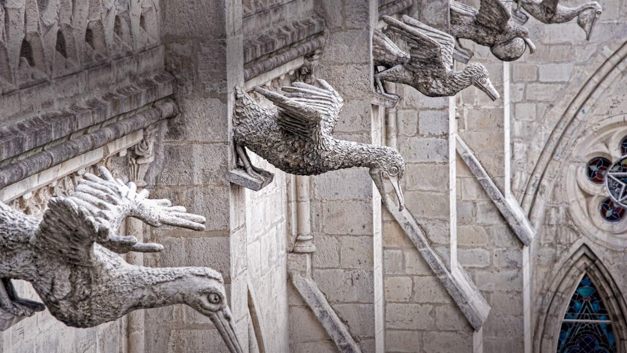 Grotesques of Ecuadorian seabirds on the Basílica del Voto Nacional in Quito, Ecuador (© Henri Leduc/Getty Images) desktop wallpaper