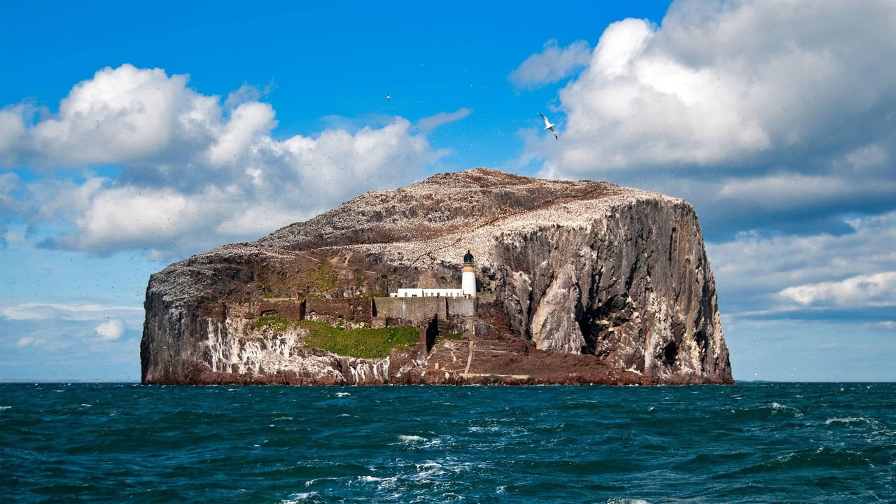 The Bass Rock in Scotland’s Firth of Forth (© Richard Shucksmith/Minden Pictures) desktop wallpaper