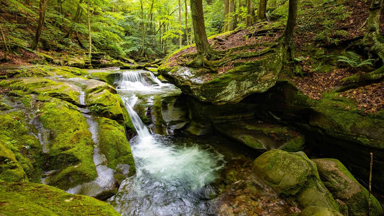 Bear Hole Brook, Catskill Mountains, New York (© GummyBone/Getty Images) desktop wallpaper