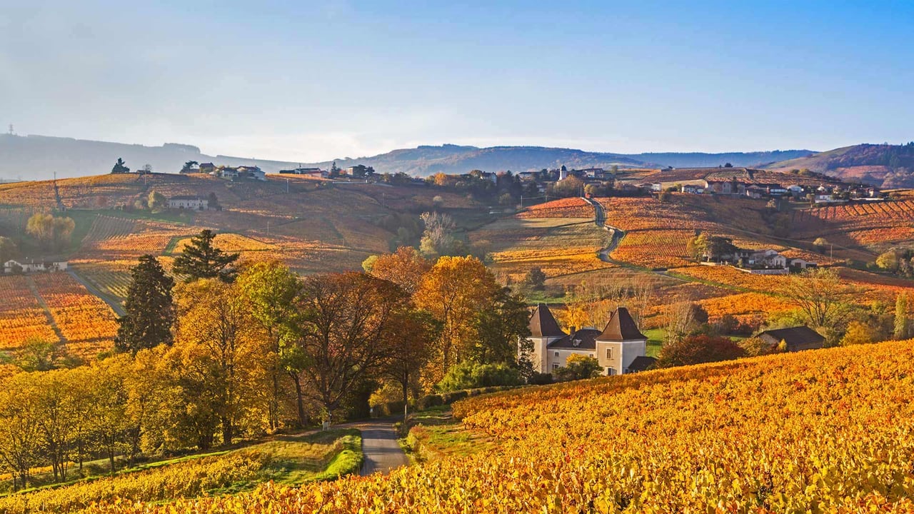 Lantignié in the Beaujolais region of France (© Jon Arnold/Danita Delimont) desktop wallpaper