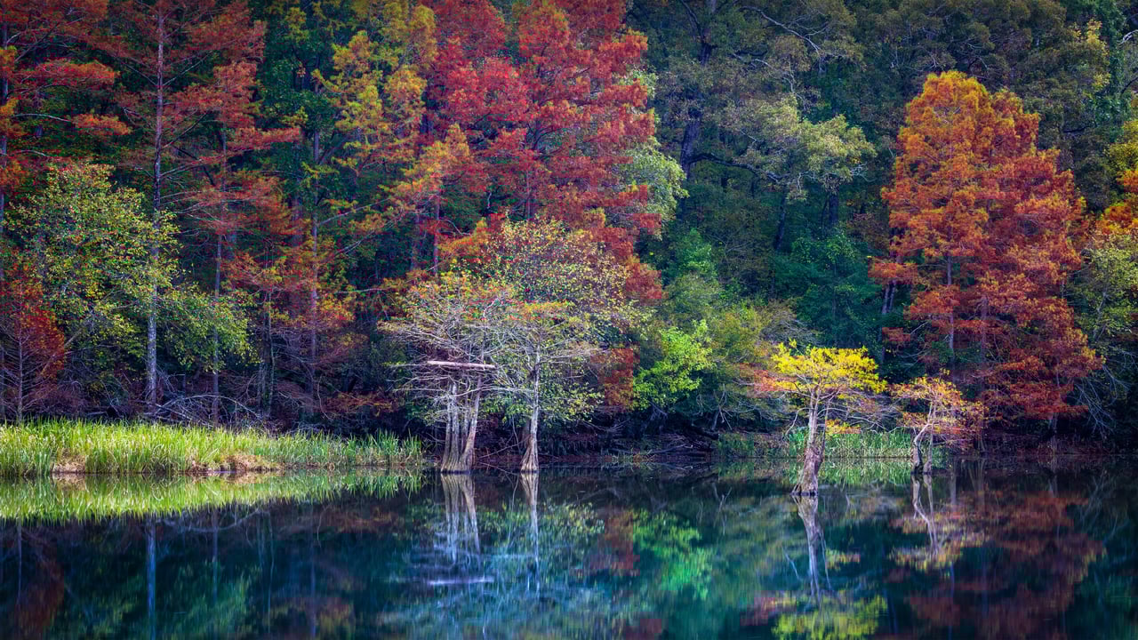 Beavers Bend Resort Park near Broken Bow, Oklahoma (© Inge Johnsson/Alamy) desktop wallpaper