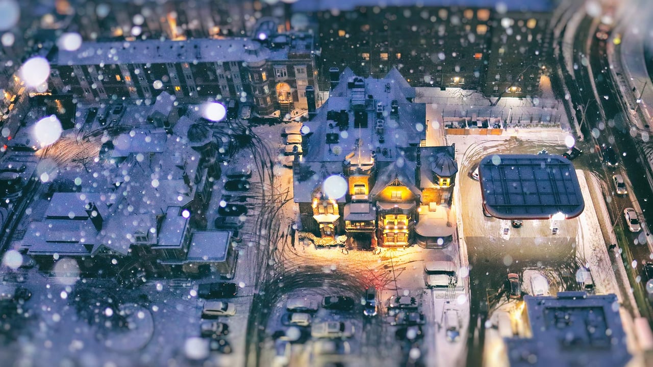 Aerial view of a residential area on a snow day during blue hour, Toronto (© Katrin Ray Shumakov/Getty Images) desktop wallpaper