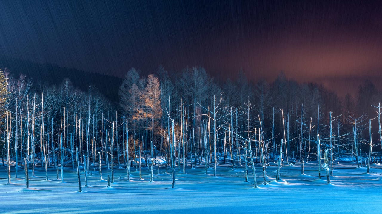 ライトアップされた青い池, 北海道 美瑛町 (© Sean Pavone/Alamy Stock Photo) desktop wallpaper