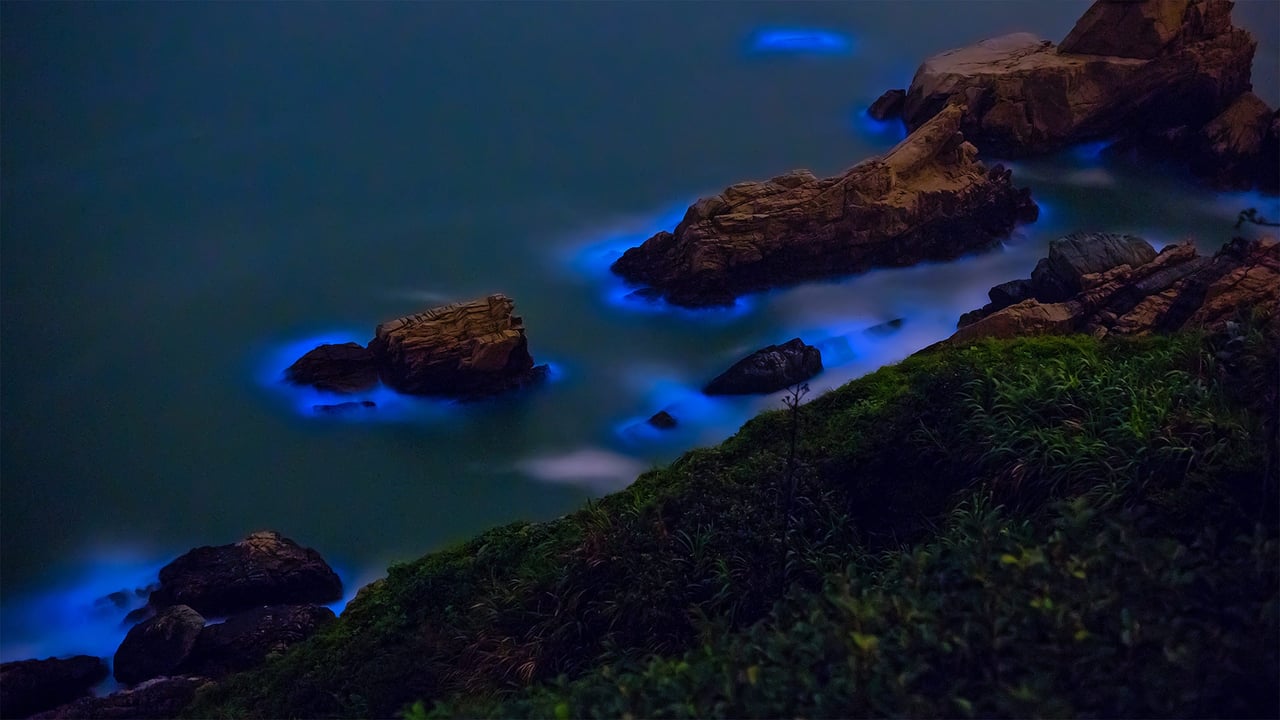 Bioluminescent algae along the shores of the Matsu Islands off the coast of Taiwan (© Wan Ru Chen/Getty Images) desktop wallpaper
