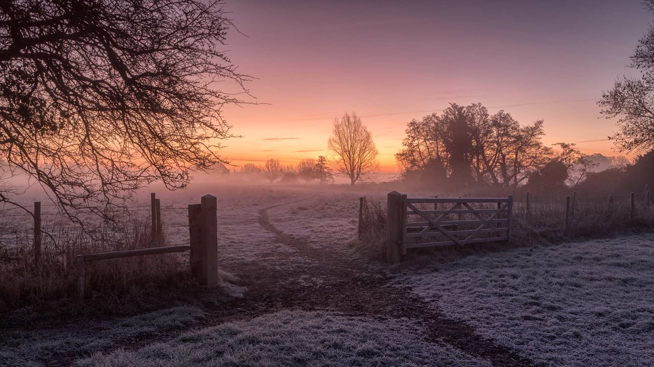 Winter sunrise in Dedham, Colchester, England (© George W Johnson/Getty Images) desktop wallpaper