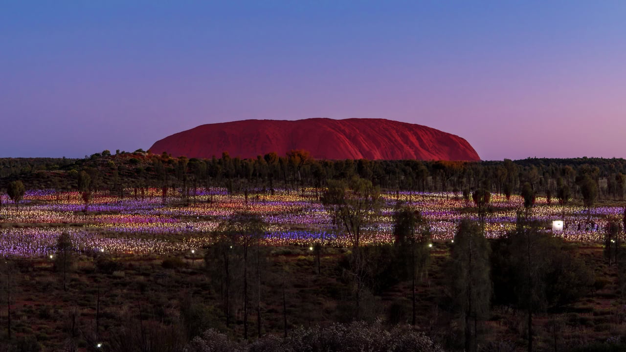 'Field of Light' by artist Bruce Munro at Uluru, Australia (© Sheralee Stoll/Alamy) desktop wallpaper