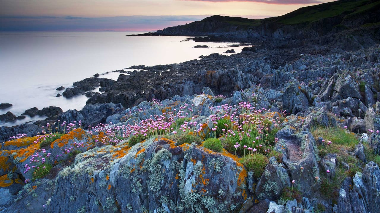 Bull Point in Devon, England (© Robert Harding World Imagery/Offset by Shutterstock) desktop wallpaper