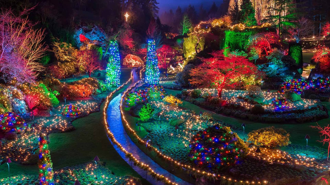 Christmas lights at the Butchart Gardens in British Columbia (© James Wheeler/Getty Images) desktop wallpaper