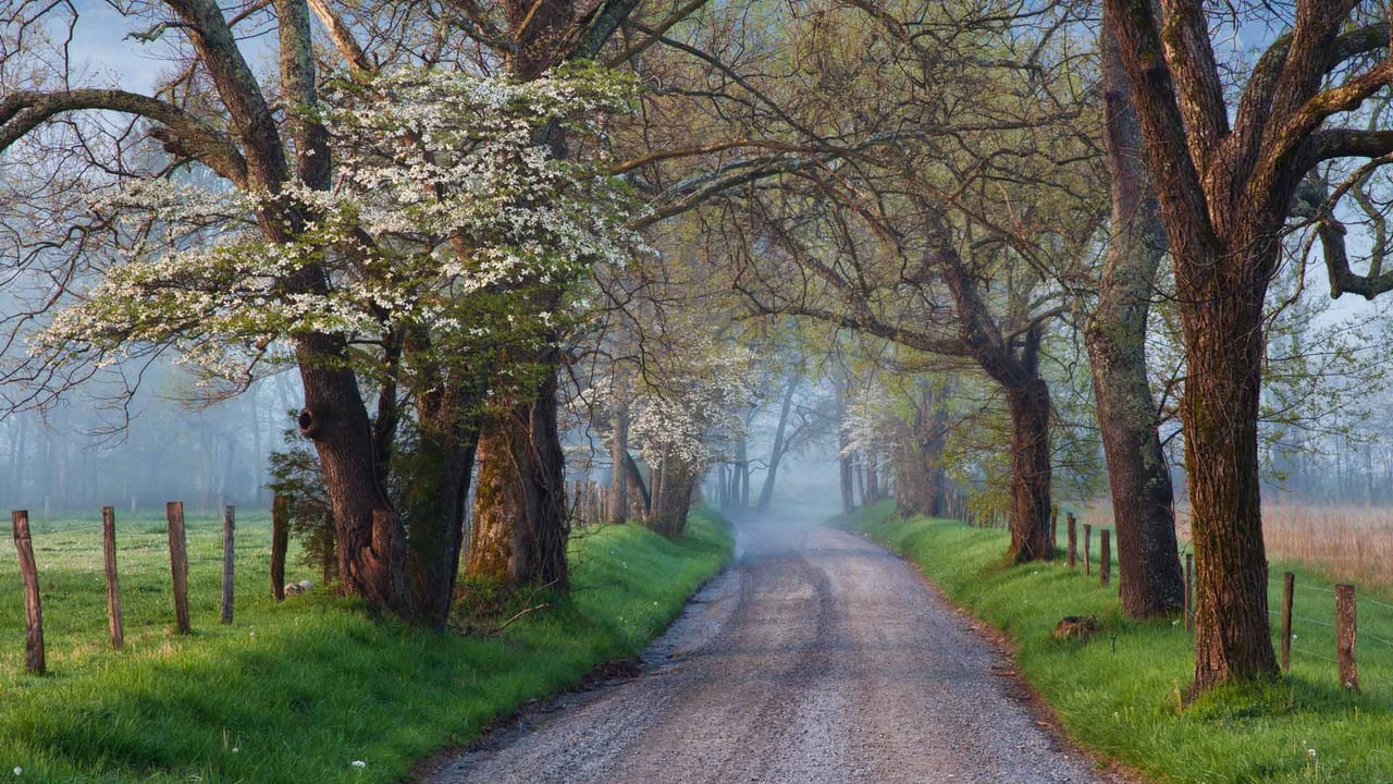 Sparks Lane in Cades Cove, Great Smoky Mountains National Park, Tennessee (© Richard Bernabe/Shutterstock) desktop wallpaper