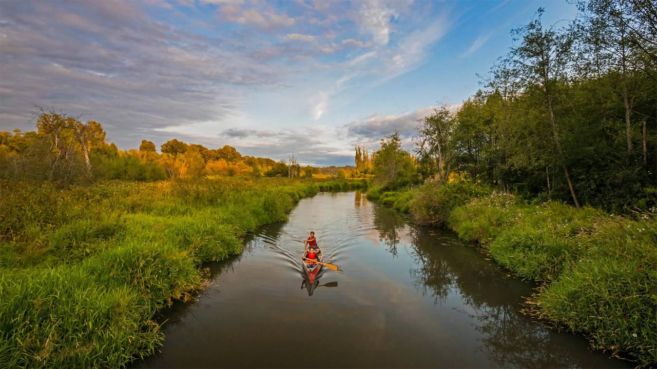For Canada Day, canoeists in Burnaby, British Columbia, Canada (© Christopher Kimmel/Aurora Photos) desktop wallpaper