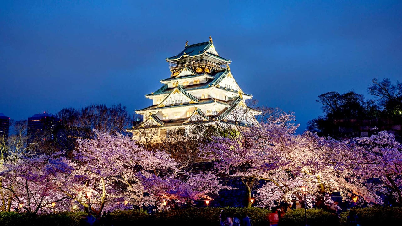 桜と大阪城, 大阪 (© Prasit Rodphan/Alamy Stock Photo) desktop wallpaper