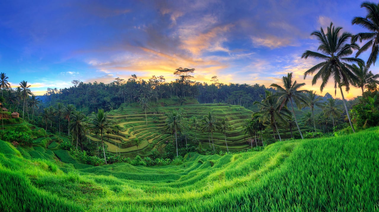 Tegallalang Rice Terraces, Ubud, Bali, Indonesia (© Michele Falzone/Alamy) desktop wallpaper