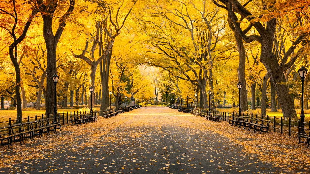 Central Park, Manhattan, New York, USA (© mapman/Shutterstock) desktop wallpaper