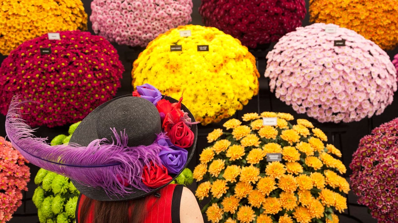 A woman with a floral hat at the RHS Chelsea Flower Show 2014 (© Bettina Strenske/Alamy Stock Photo) desktop wallpaper