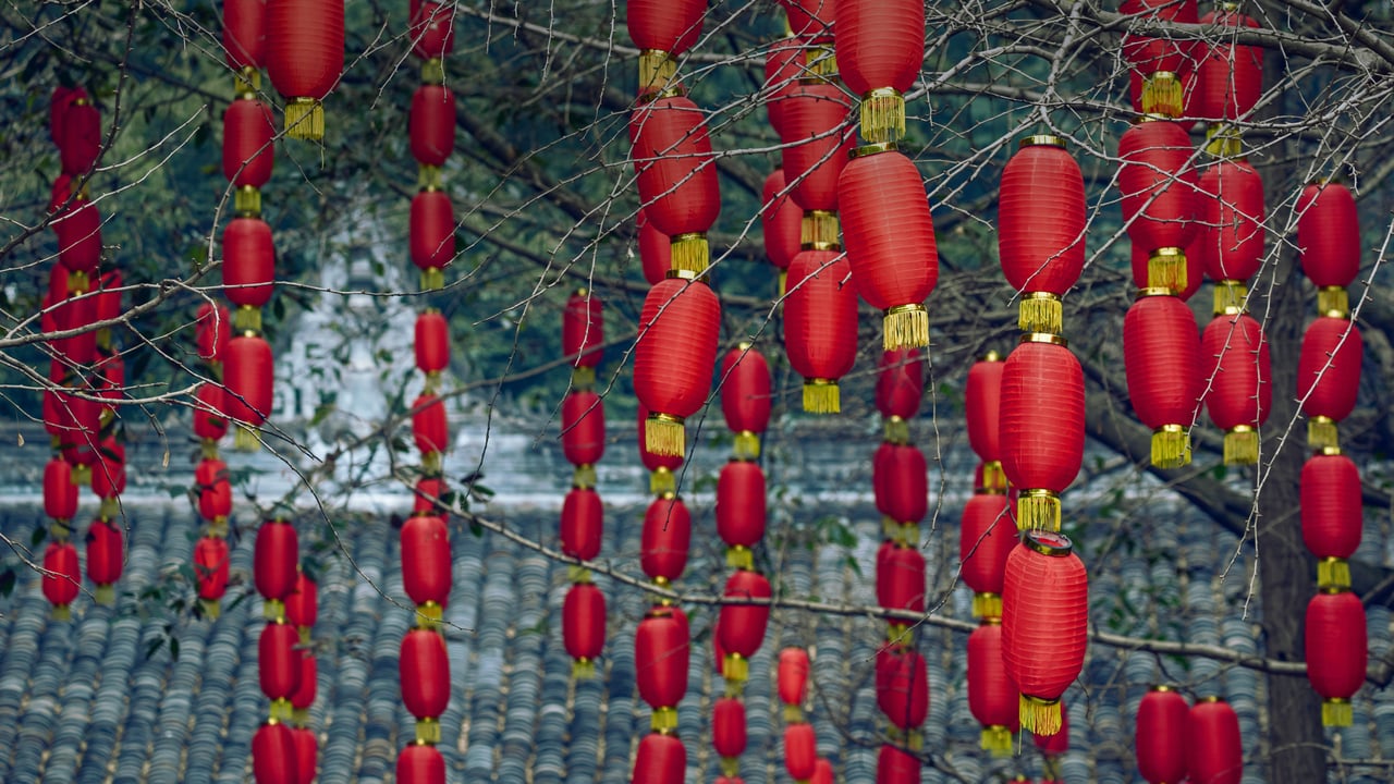 Red lanterns hanging on trees during the Lantern Festival in Chengdu, Sichuan, China (© Philippe Lejeanvre/Getty Images) desktop wallpaper