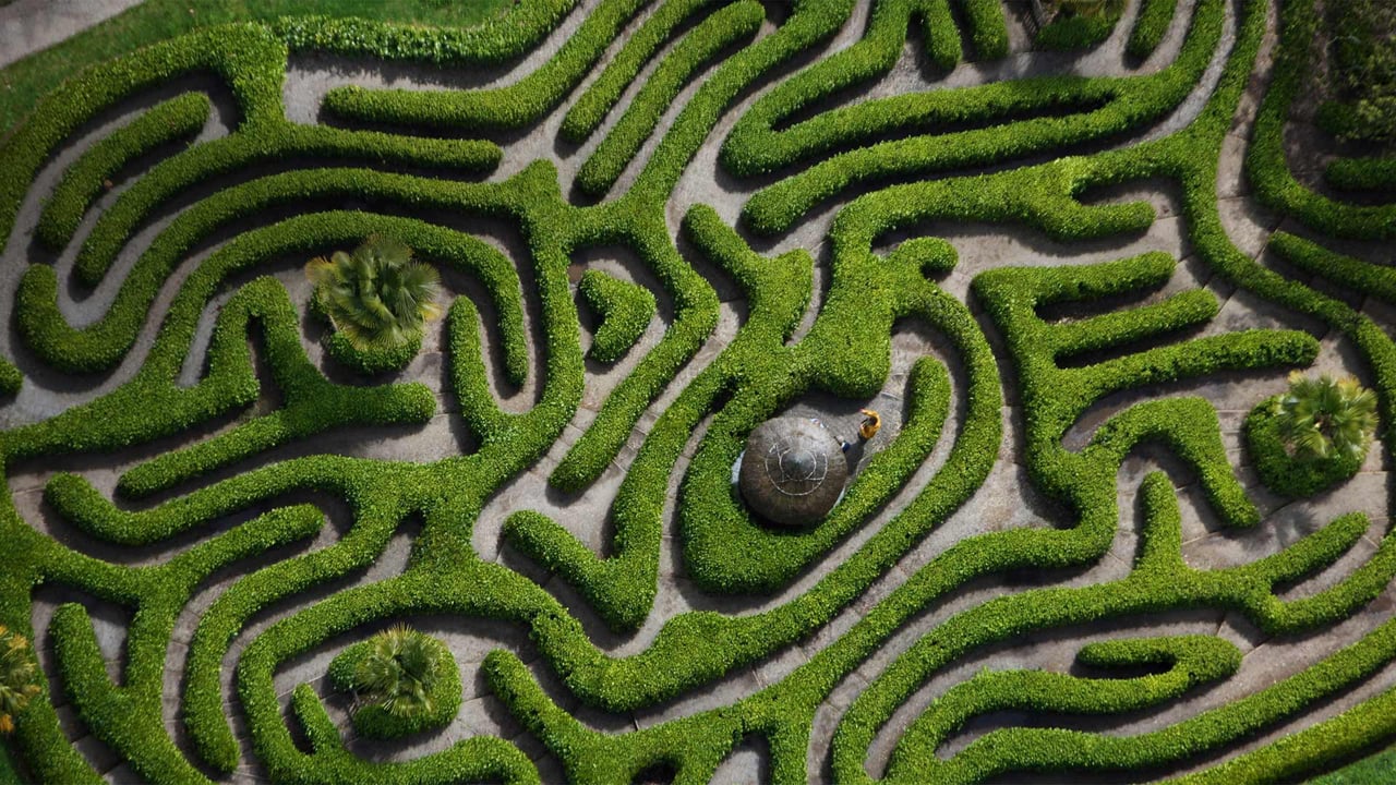 Aerial view of the cherry laurel maze in Glendurgan Garden, Cornwall, England (© Richard Cooke/Alamy) desktop wallpaper