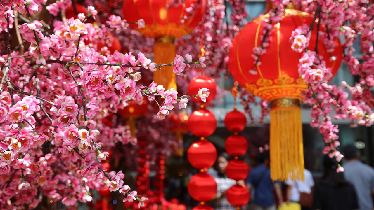 春节的桃花和红灯笼 (© David Ng+EyeEm/Getty Images) desktop wallpaper