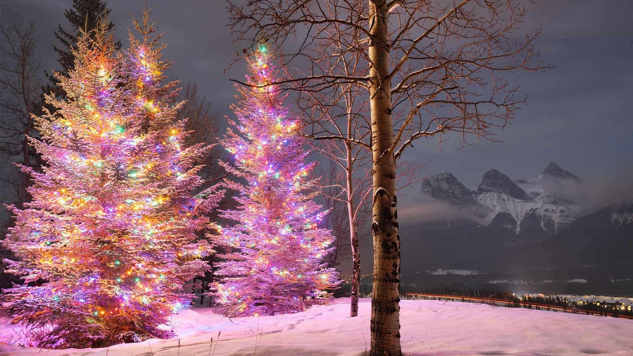 Christmas trees with the Three Sisters mountain in the background, Canmore, Alberta (© Nick Fitzhardinge/Moment/Getty Images) desktop wallpaper