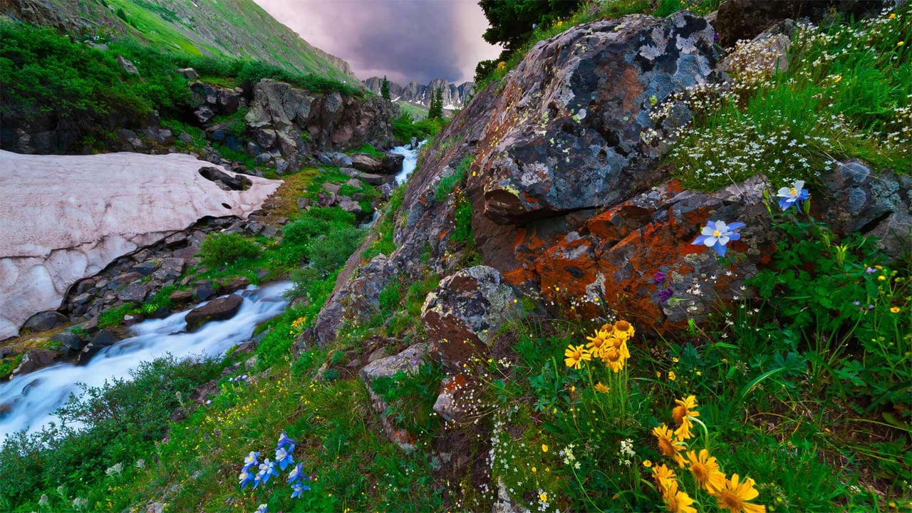 American Basin in southern Colorado's San Juan Mountains (© Blaine Harrington III/Alamy) desktop wallpaper
