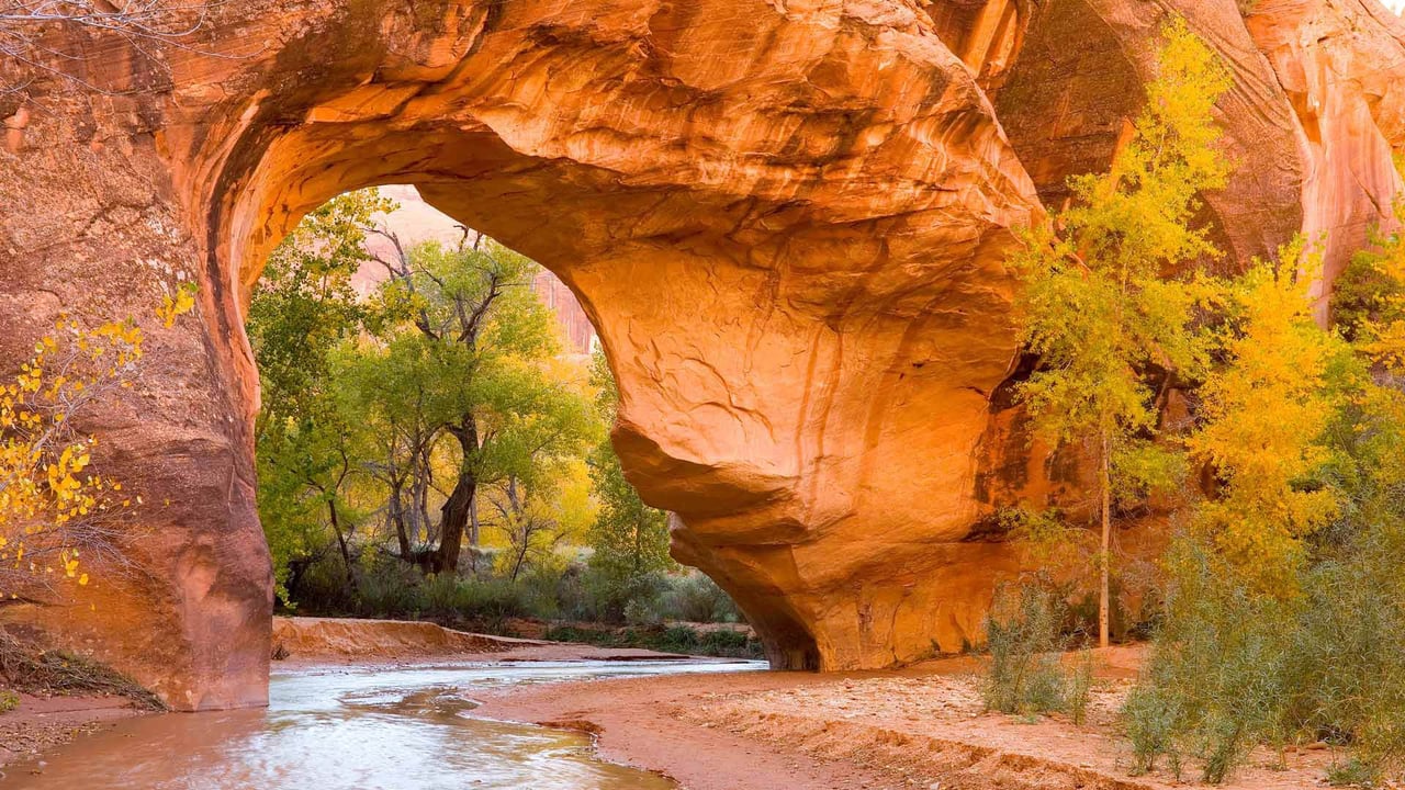 Cottonwoods seen through an arch in Coyote Gulch, Glen Canyon Recreation Area, Utah (© Stephen Matera/Tandem Stills + Motion) desktop wallpaper