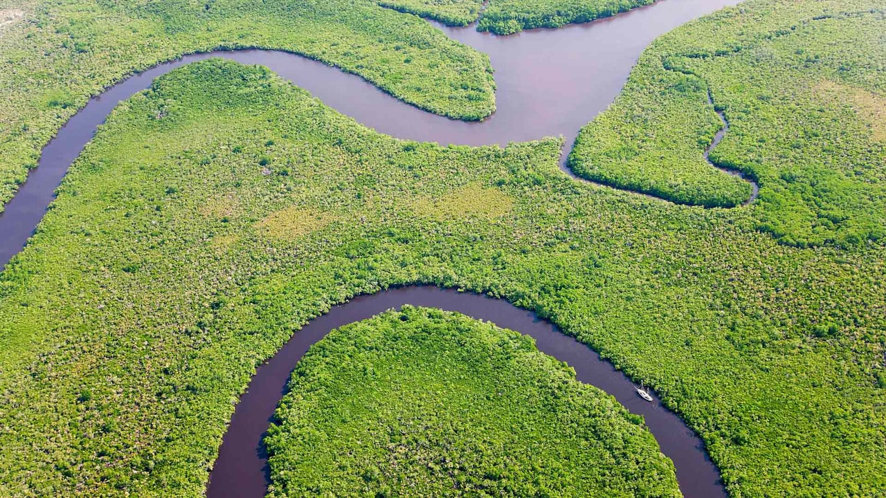 Aerial view of rainforest and Daintree River, Australia (© Peter Adams/Offset) desktop wallpaper