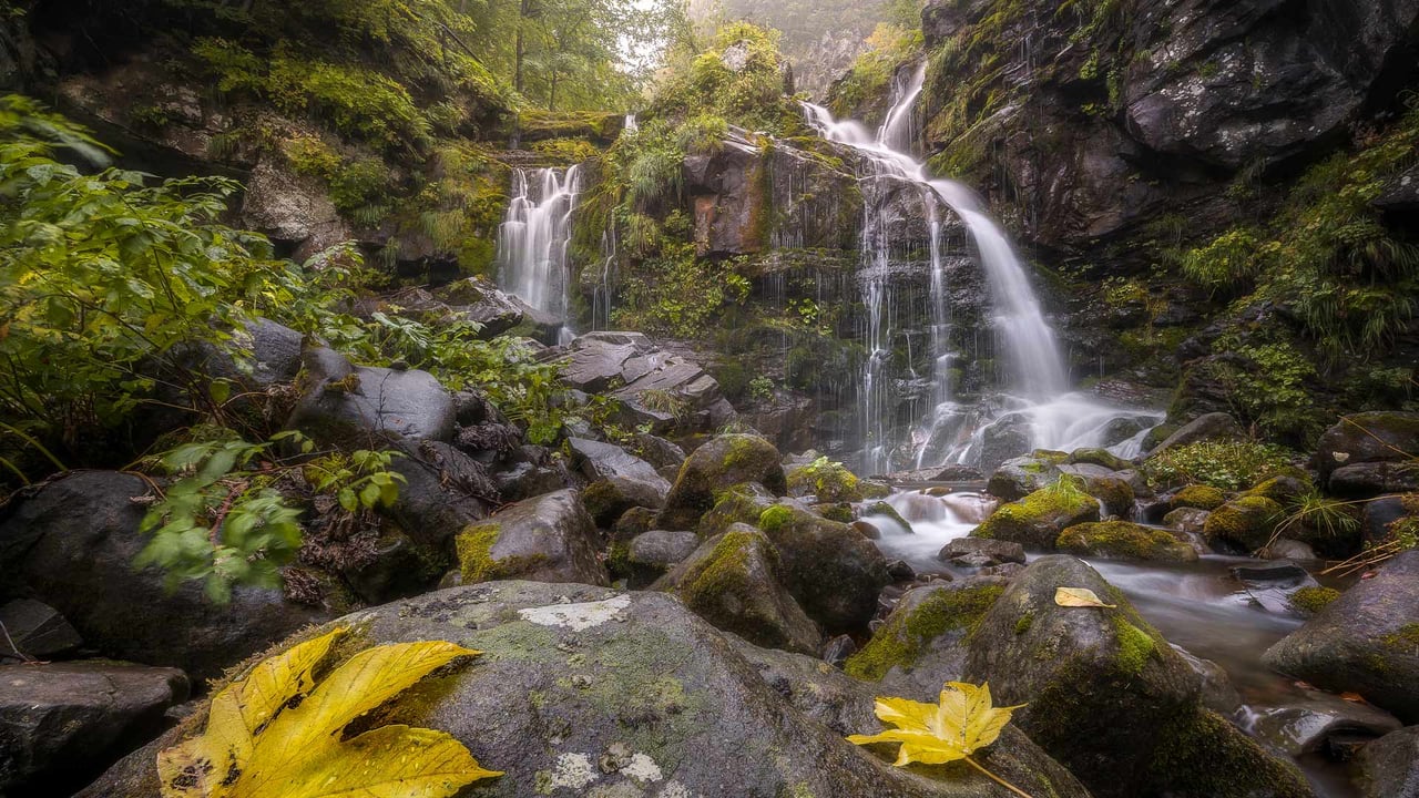 达尔达尼亚瀑布,博洛尼亚,意大利 (© Alberto Ghizzi Panizza/Minden) desktop wallpaper