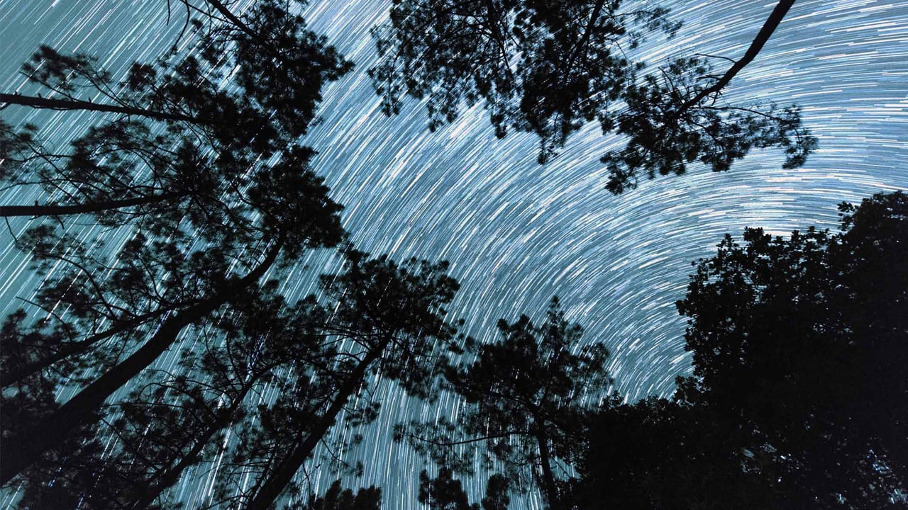 Trainée d’étoiles depuis les racines d’un bosquet de pins en Dordogne (© Eric Nathan/Alamy Stock Photo) desktop wallpaper