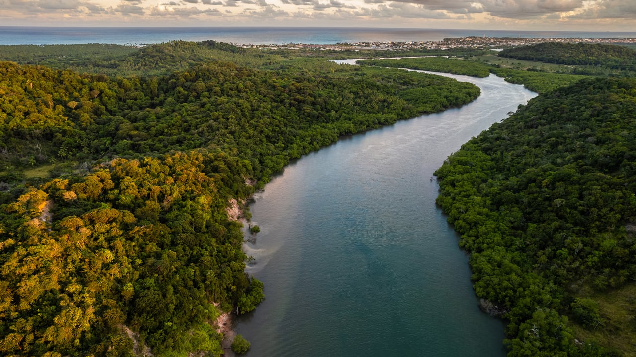Rio da Mata Atlântica em Pernambuco (© Pollyana Ventura/Getty Images) desktop wallpaper