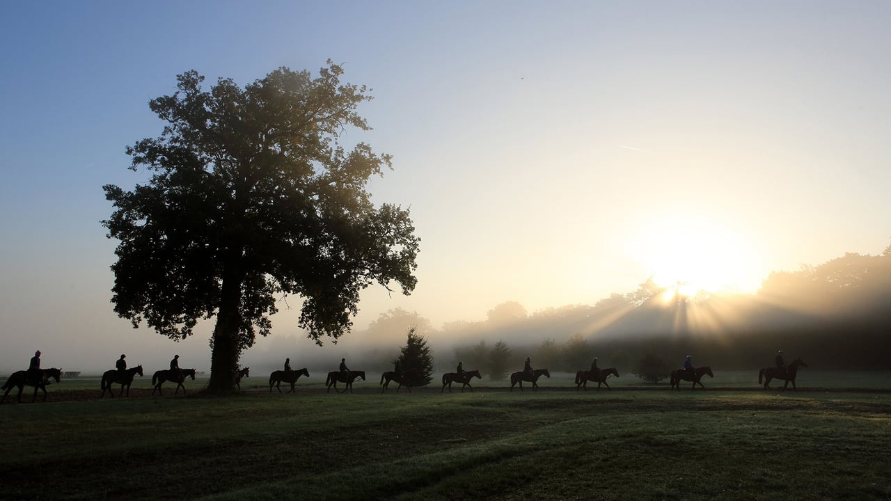 Cavaliers et leurs chevaux au petit matin, Chantilly, France (© Agencja Fotograficzna Caro/Alamy Stock Photo) desktop wallpaper