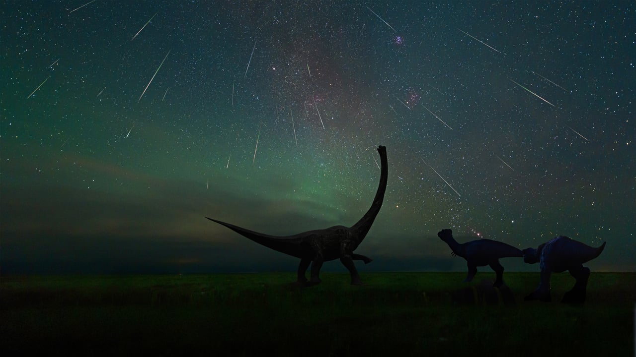 The Perseid meteor shower photographed at the Dinosaur Museum of Erenhot in Inner Mongolia, China (© bjdlzx/Getty Images) desktop wallpaper