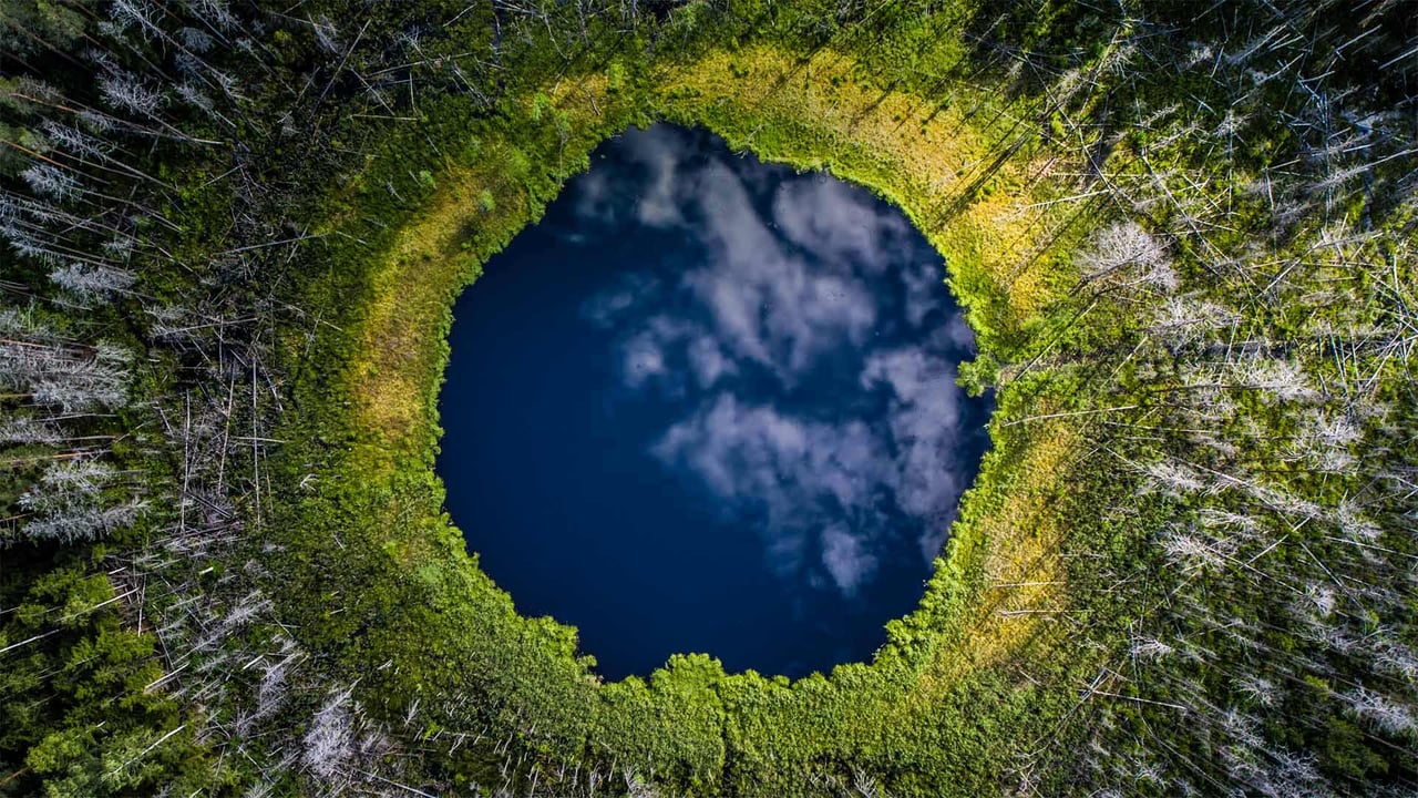 Small lake in Karula National Park, Valgamaa County, Estonia (© Sven Zacek/Minden Pictures) desktop wallpaper