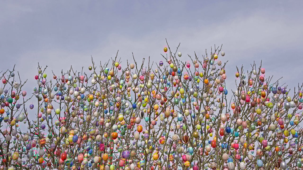 An Ostereierbaum (Easter egg tree) in Saalfeld, Germany (© Rudi Sebastian/Alamy) desktop wallpaper