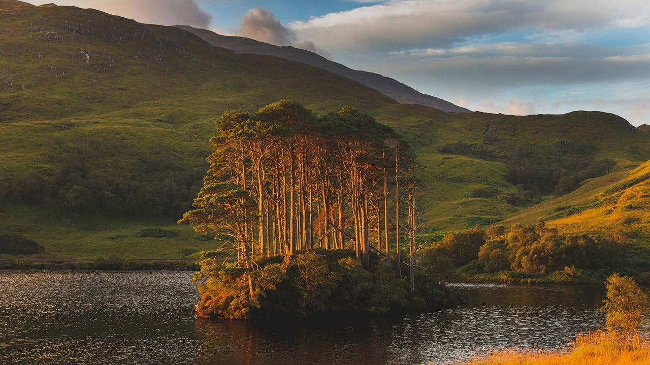 Dawn light on Eilean Na Mòine island, Loch Eilt, Scotland (© Lilly Husbands/Offset) desktop wallpaper