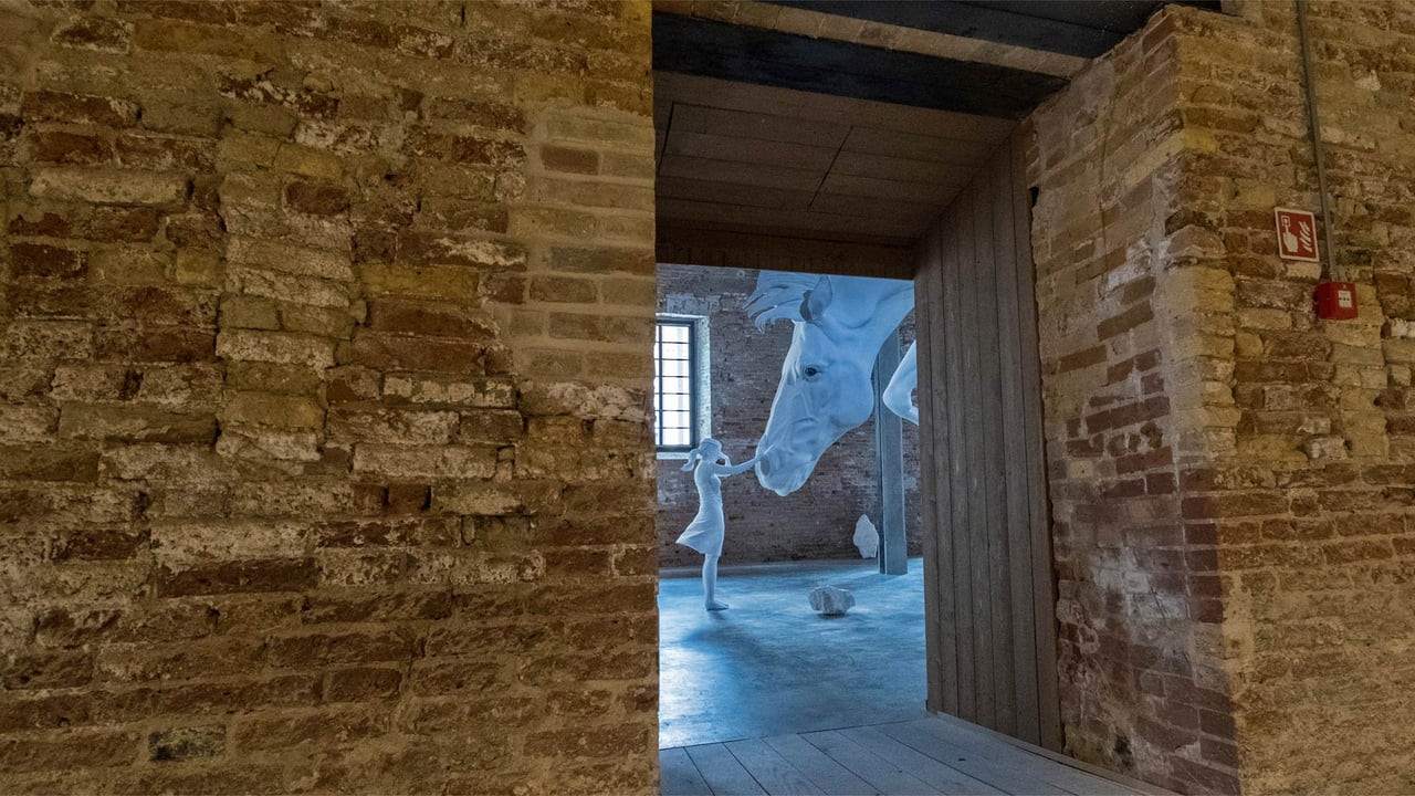 'El Problema del Caballo' by Claudia Fontes in Venice, Italy (© Marco Secchi/Getty Images) desktop wallpaper