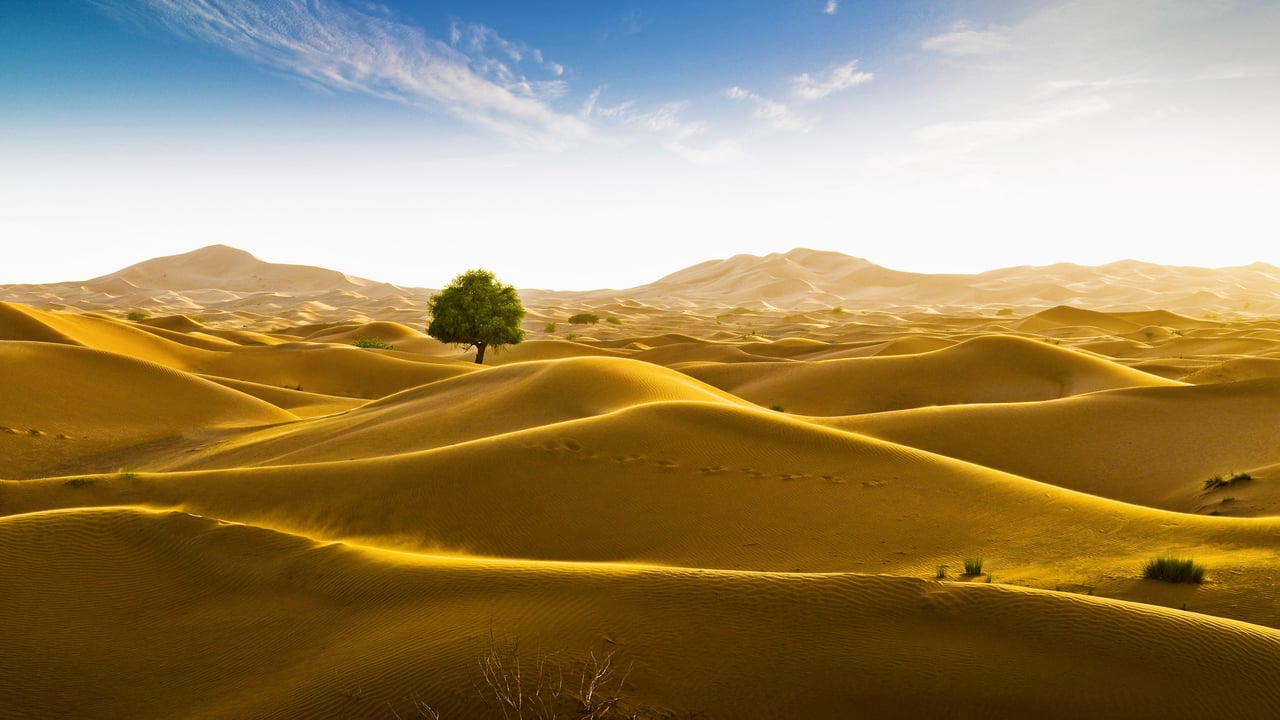 Rub' al Khali desert on the border of Oman and the Emirate of Dubai (© Daniel Schoenen/Offset by Shutterstock) desktop wallpaper