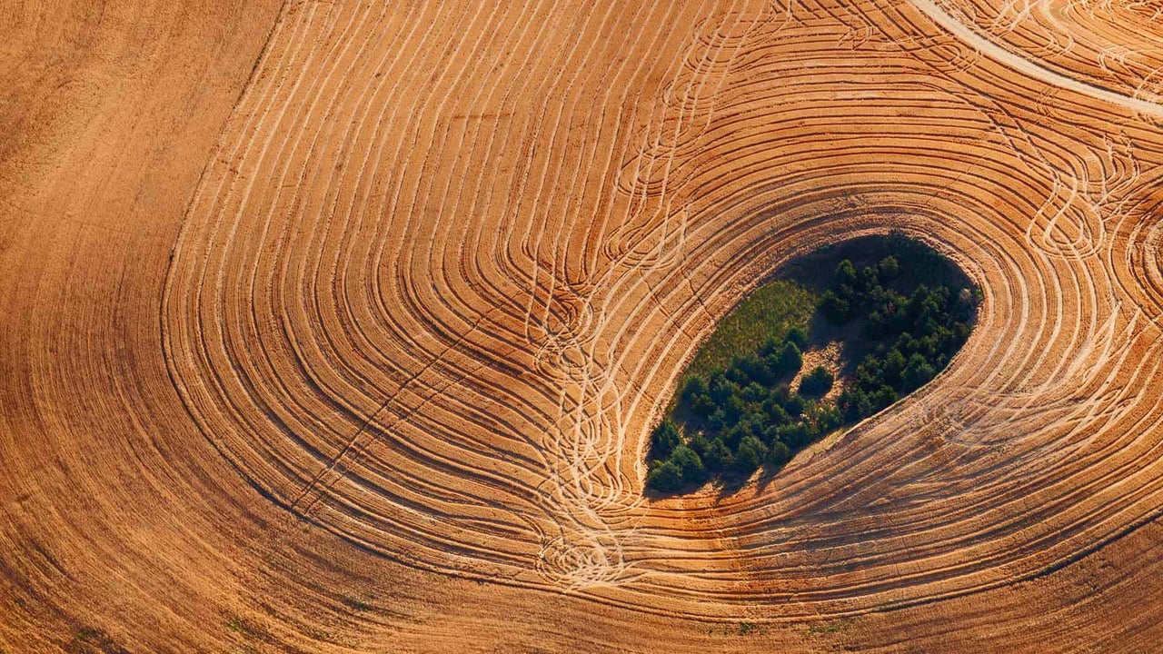Farmland in Washington state's Palouse region (© Art Wolfe/Getty Images) desktop wallpaper